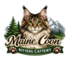 Maine Coon Kittens Cattery