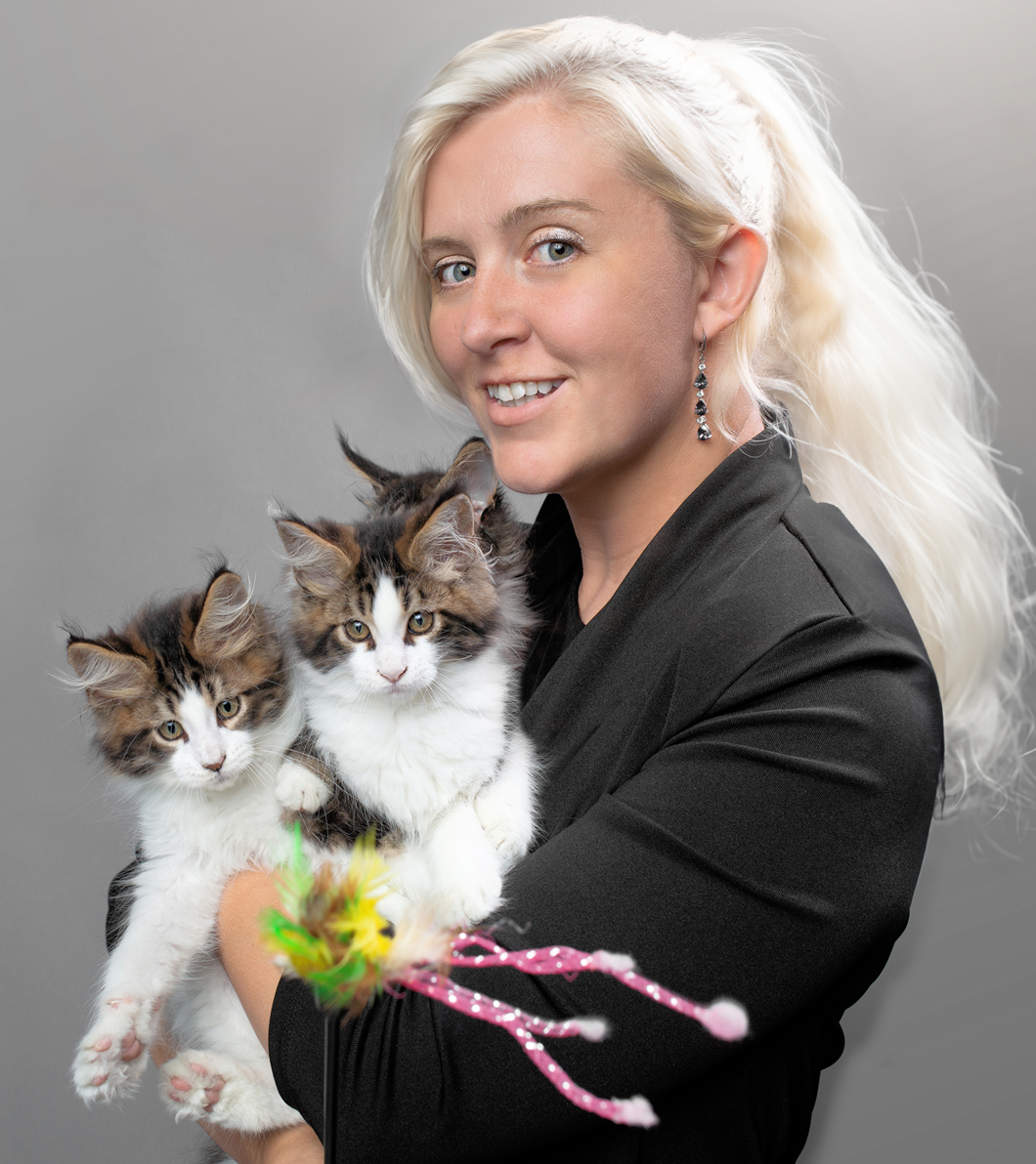 Maine Coon kitten being held by the breeder in a family living room