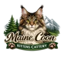 Maine Coon Kittens Cattery